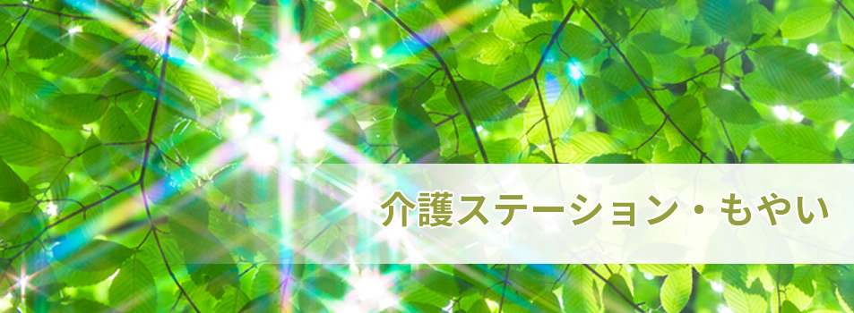 合同会社　もやい